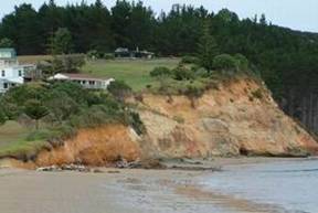 Cliff erosion at Hihi beach.