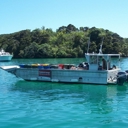 Bay of Islands rubbish barge back for summer