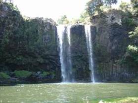 Whangarei Falls during summer flows.