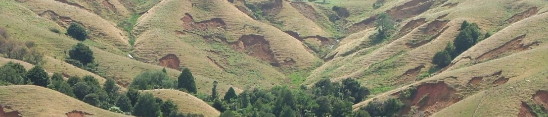Sever erosion on a hillside.