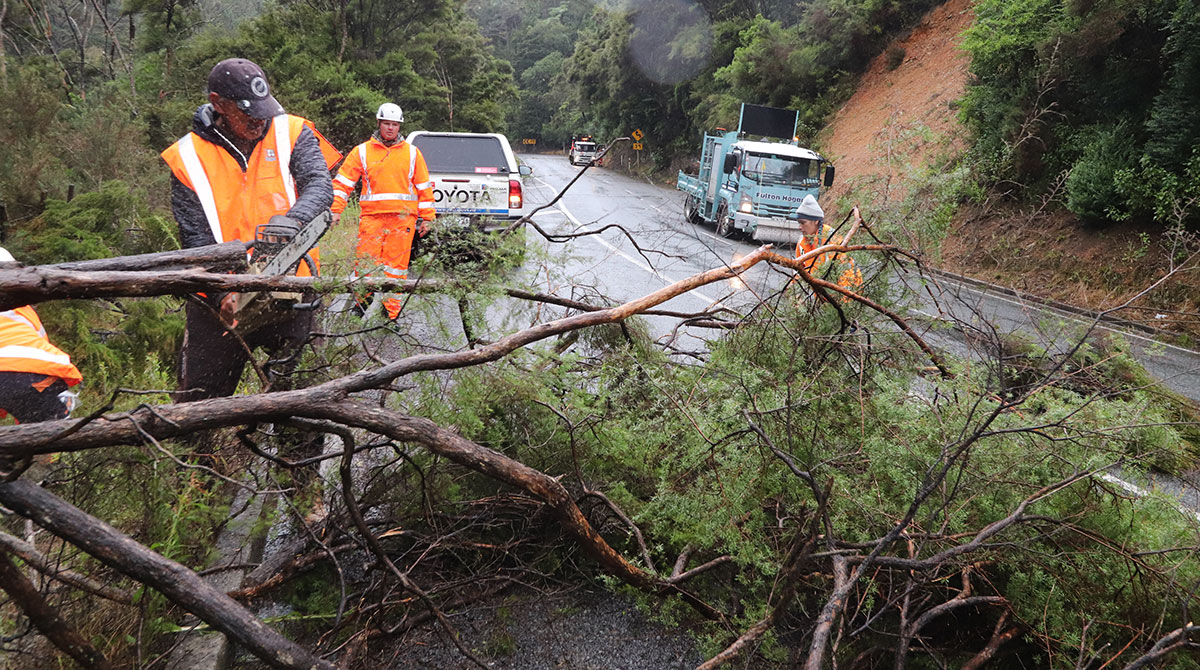 Photo of workers clearing tress from a road.