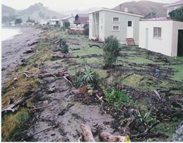 Debris on the beachfront at Teal bay after a storm in 1989.