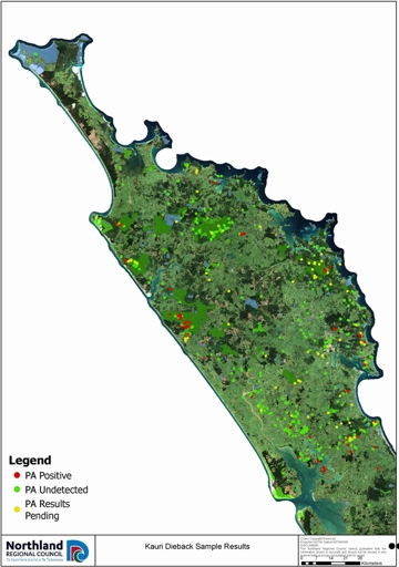 Kauri Dieback sample locations and results map