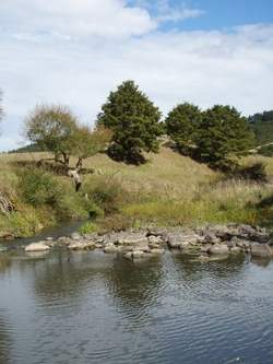Photo 7: Hakaru River. 