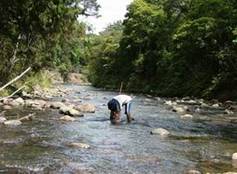 An NRC staff member taking water samples in a shallow river.