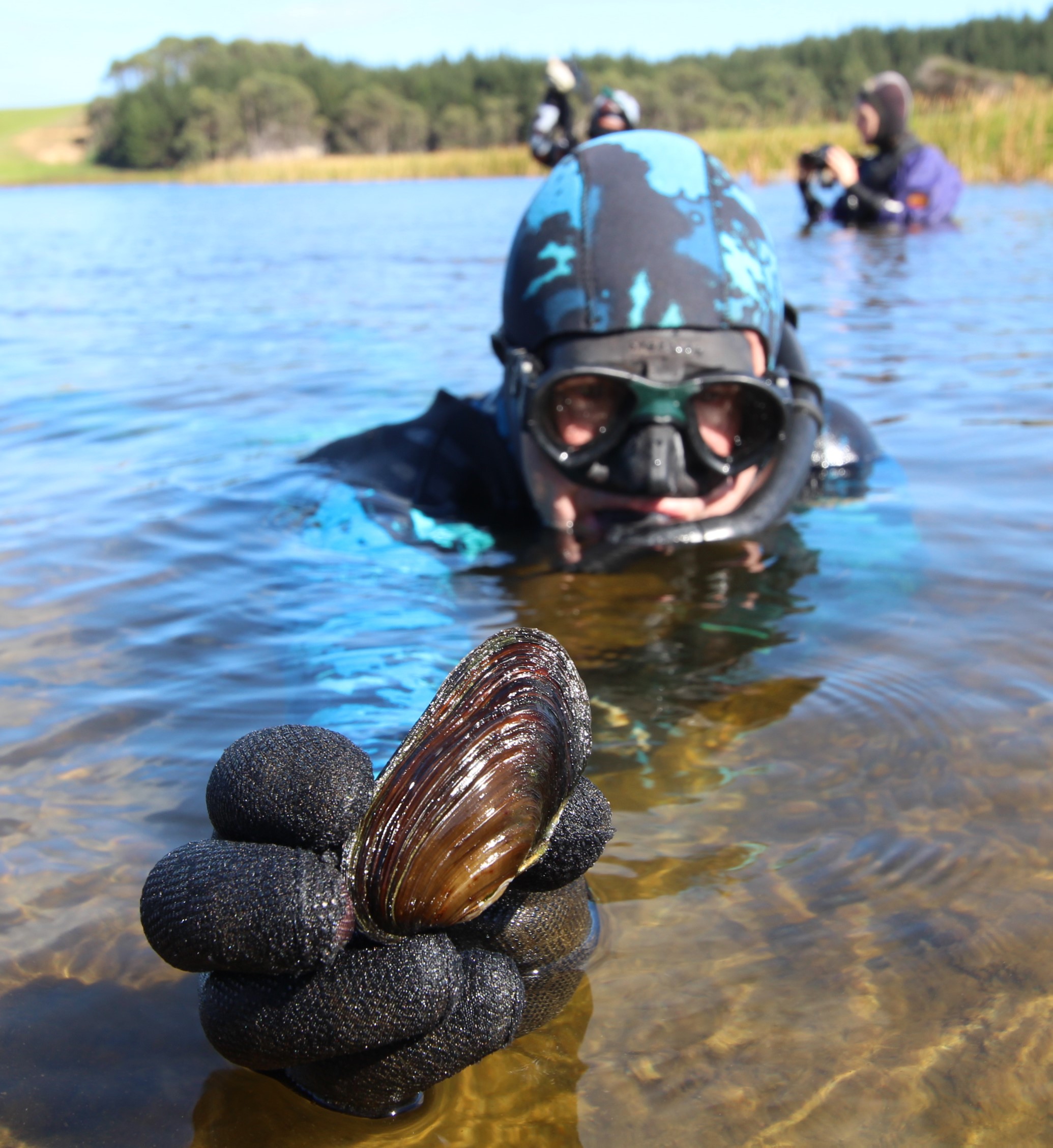 Although not part of the international study, Aupouri Peninsula dune lake ‘Ngakapua’ is home to kākahi (freshwater mussels), a threatened filter-feeding native species that could be impacted by microplastics.