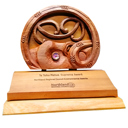 Whakamānawa ā Taiao – Environmental Awards finalists named