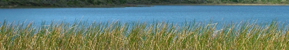 Kai Iwi Lake.