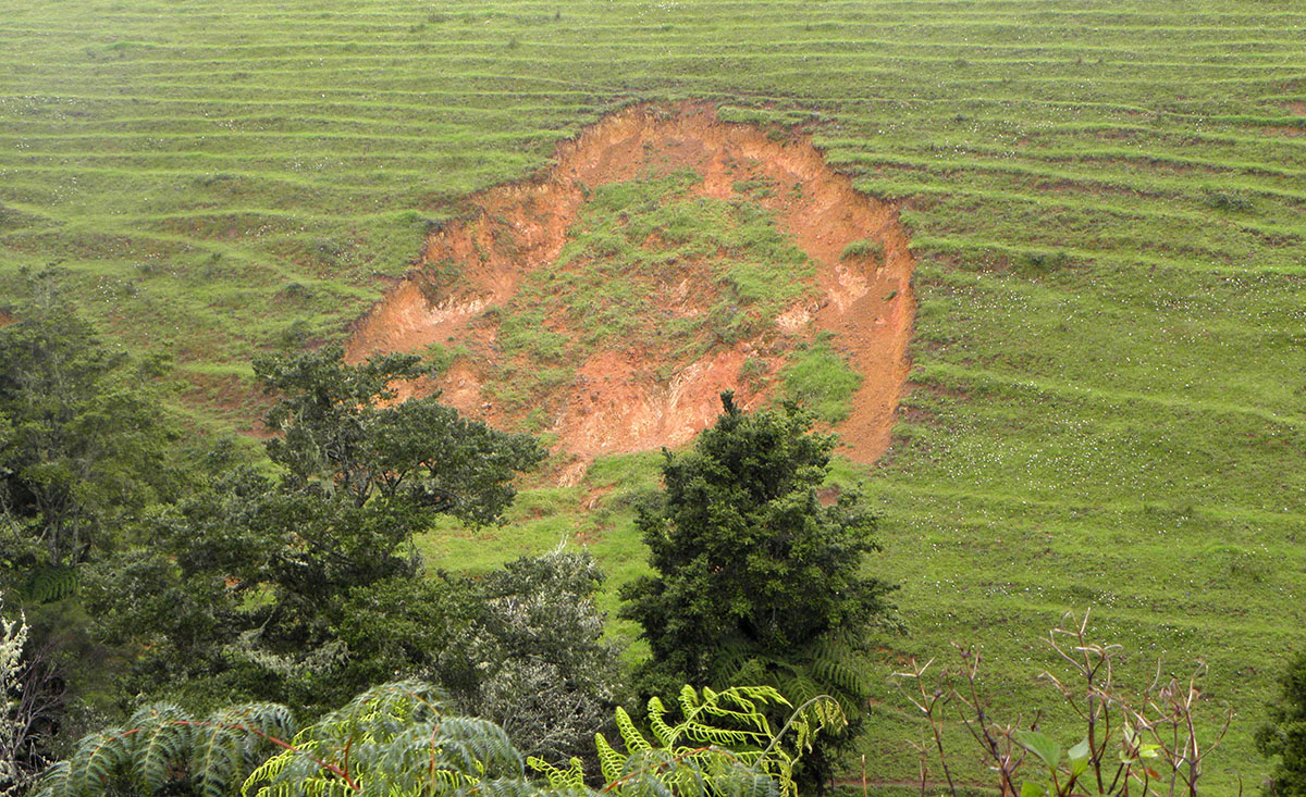 Large slip on steep farmland.
