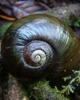 Biosecurity and Biodiversity Working Party - 6 August