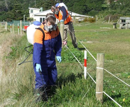 Men in protective clothing spraying weeds.