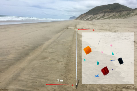 Transect lines on the beach show the survey area, with collected microplastics (inset).