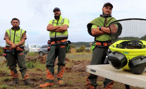 Three men wearing protective clothing for forestry work.