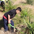 Benefits of Enviroschools