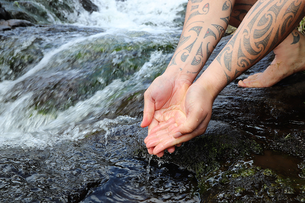 Hands in river water.