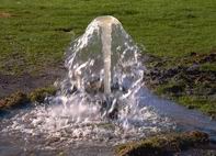 Photo of artesian bore overflow.