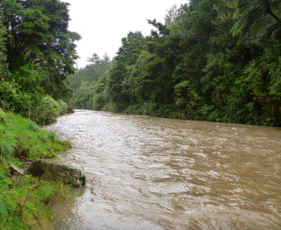 Sediment in the Kaihū River after a storm event. 