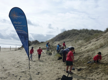 Ahipara Community CoastCare - Planting Day with Pukepoto School 2013. 