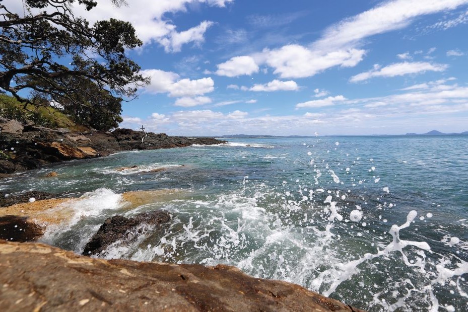 Waipu Cove.