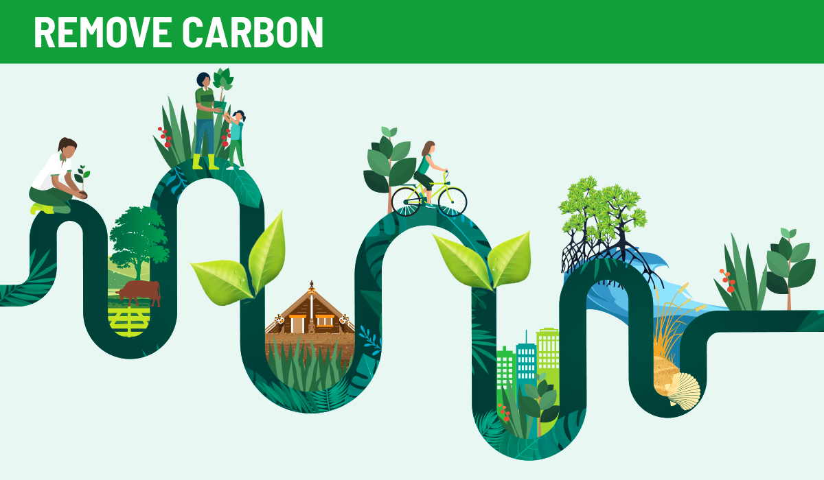 Remove carbon flowchart