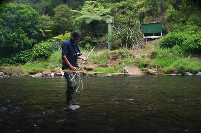 Monitoring of the Kaihu River.