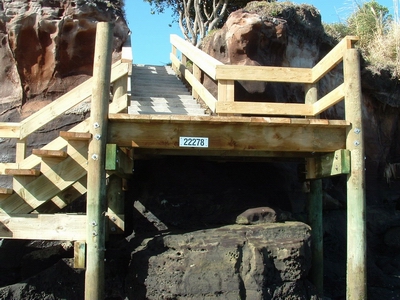 Beach access steps.