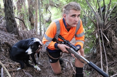 Man with firearm in bush with trained dog.