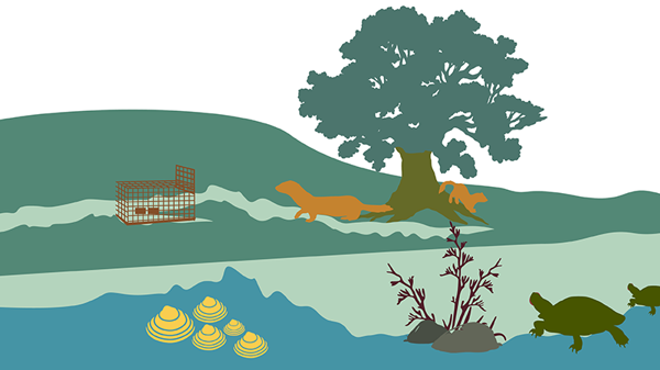 Pest Plan graphic of the environment
