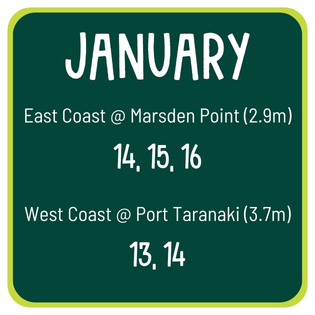 Dates for king tides 13, 14, 15, 16 January 2024.