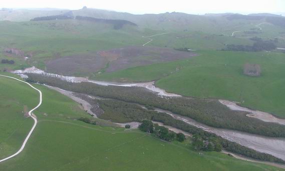 Example of a modified coastal margin in the Kaipara Harbour.