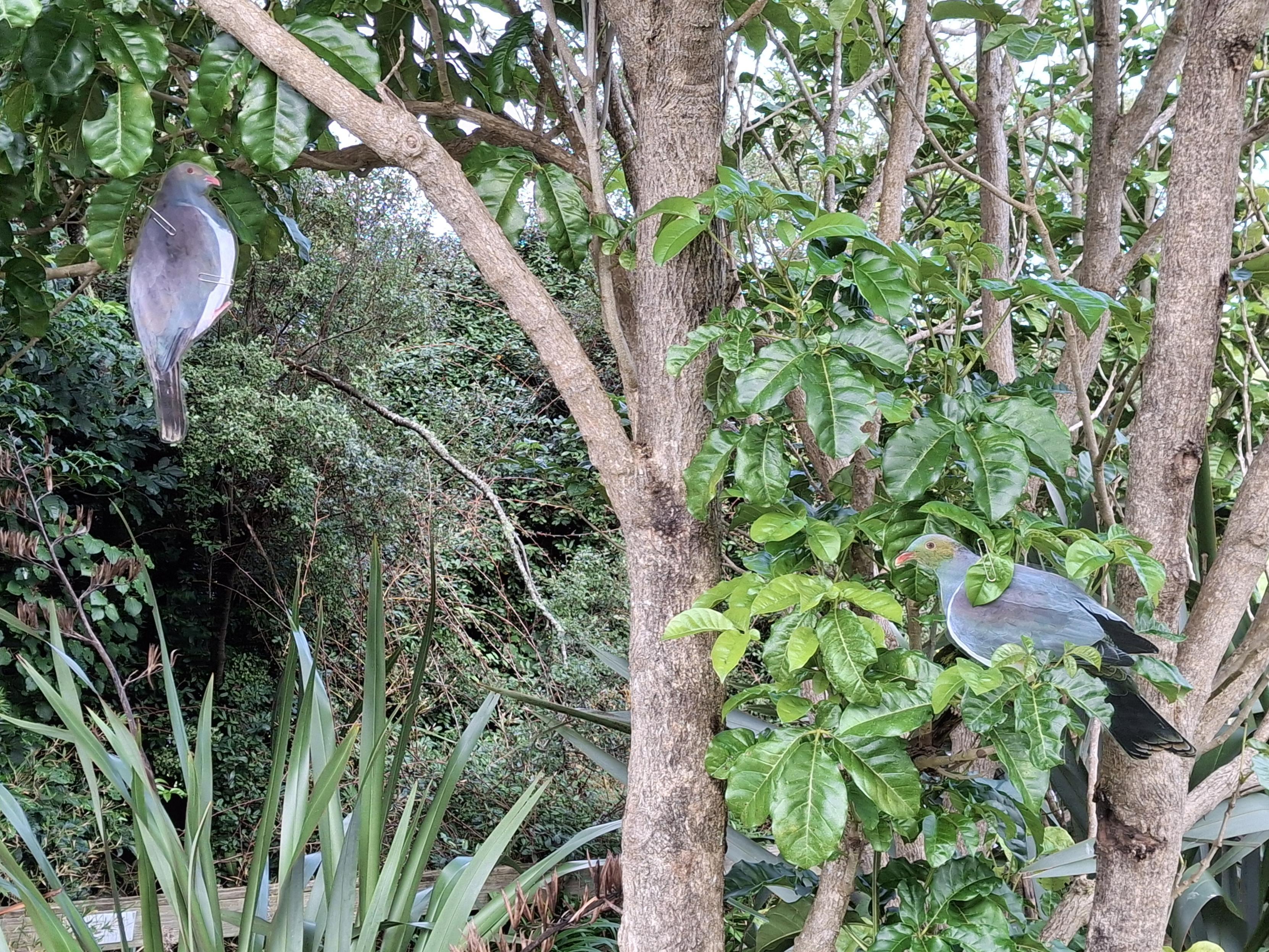 Two bird printouts in tree.