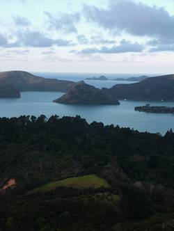 Whangaroa Harbour.