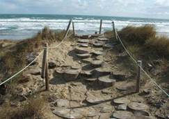 Walkway at Waipapakauri.