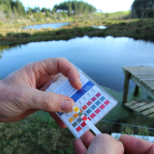 Water test sample card