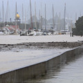 Whangārei Urban Flood Strategy