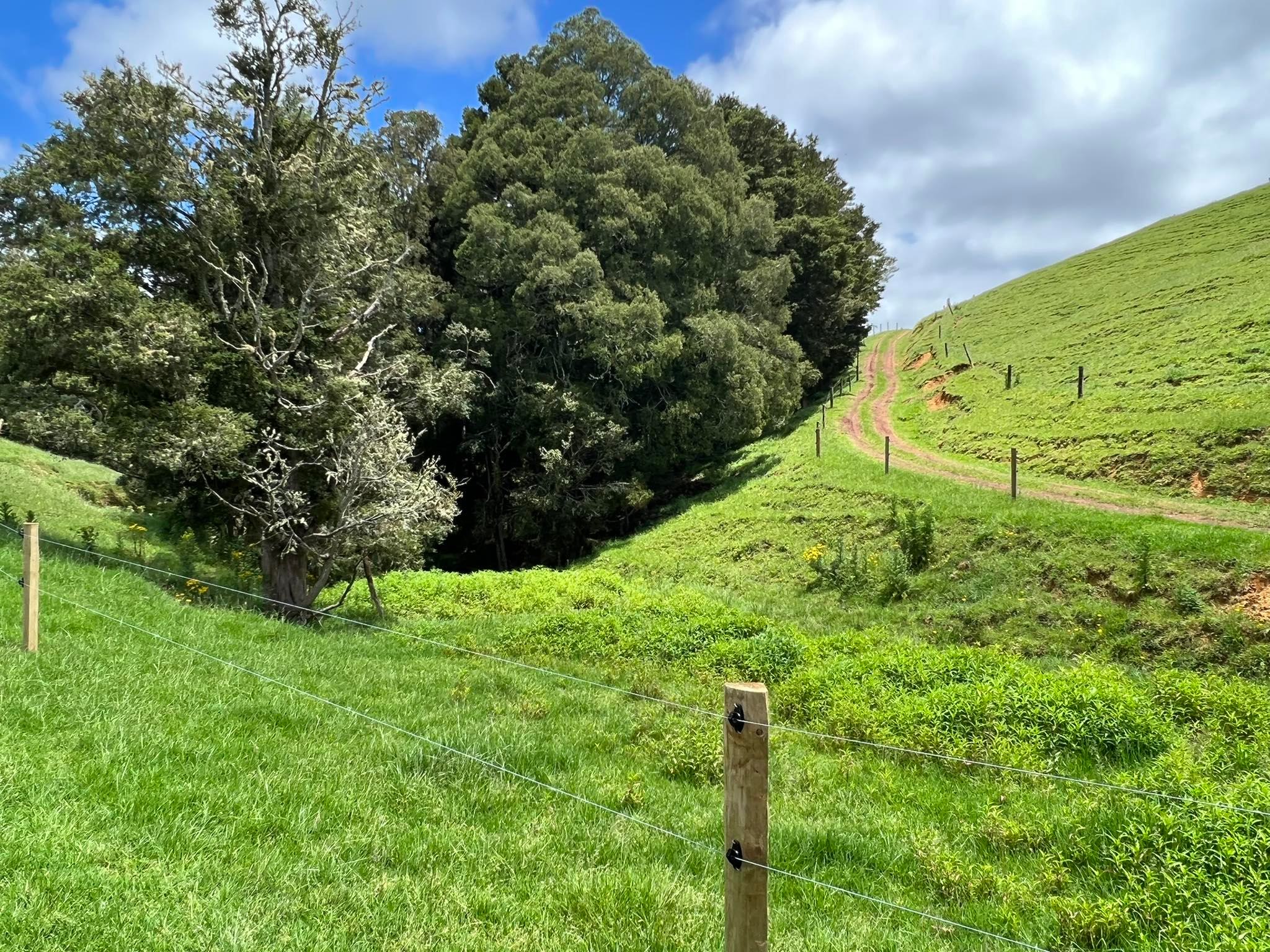 Picture of the Crawford farm showing fencing and planting along a waterway.