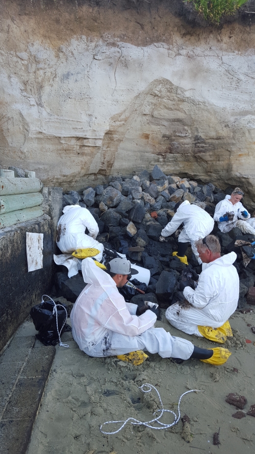 Cleaning oil covered rocks a a beach.