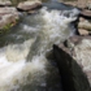 Staged implementation for freshwater management policy