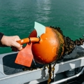 Looking after your mooring