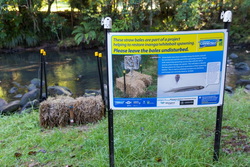 Project information sign beside a river.