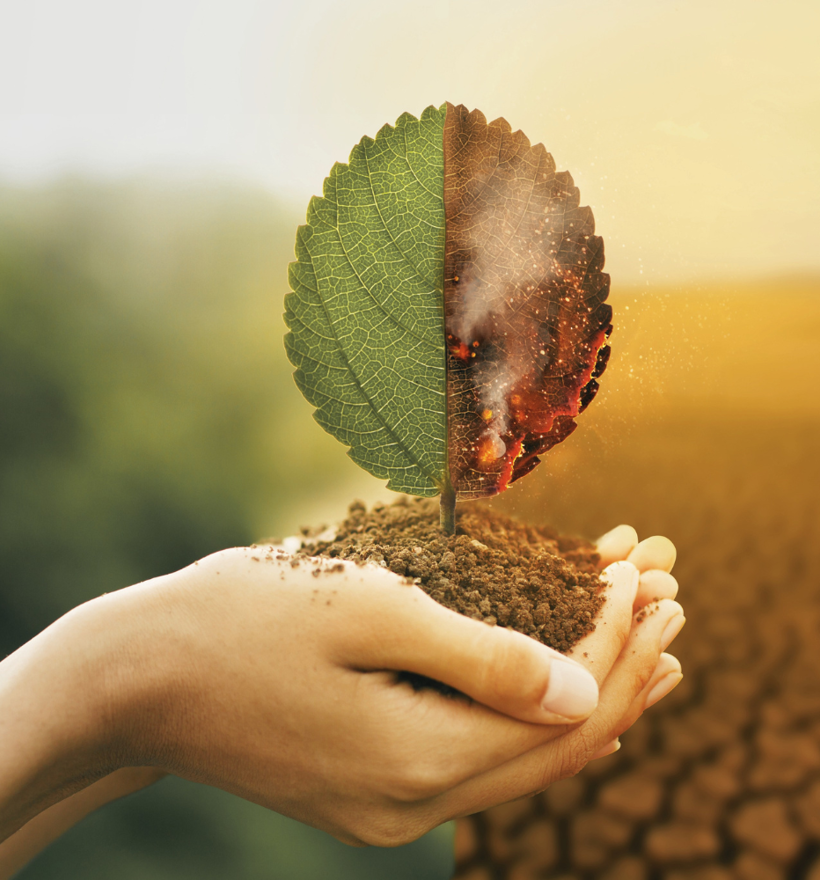 Climate Change 2