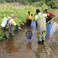 Tāngata Whenua Environmental Monitoring Fund