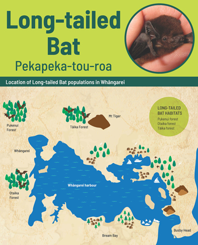 Location of long-tailed bat populations in Whāngarei.