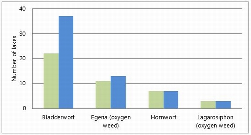 Figure 77: Number of lakes with the invasive weed species bladderwort, egeria, hornwort or lagarosiphon, recorded in 2006 (green bar) and 2011 (blue bar). 