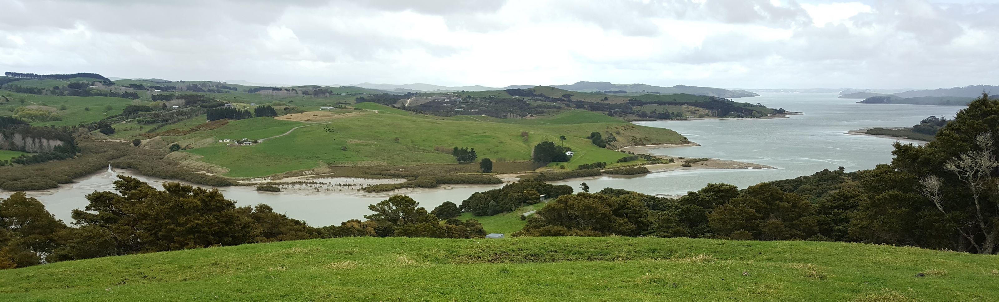 Views down the Kaipara Harbour.