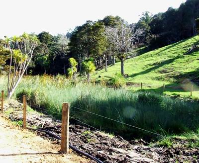 Fenced wetland.