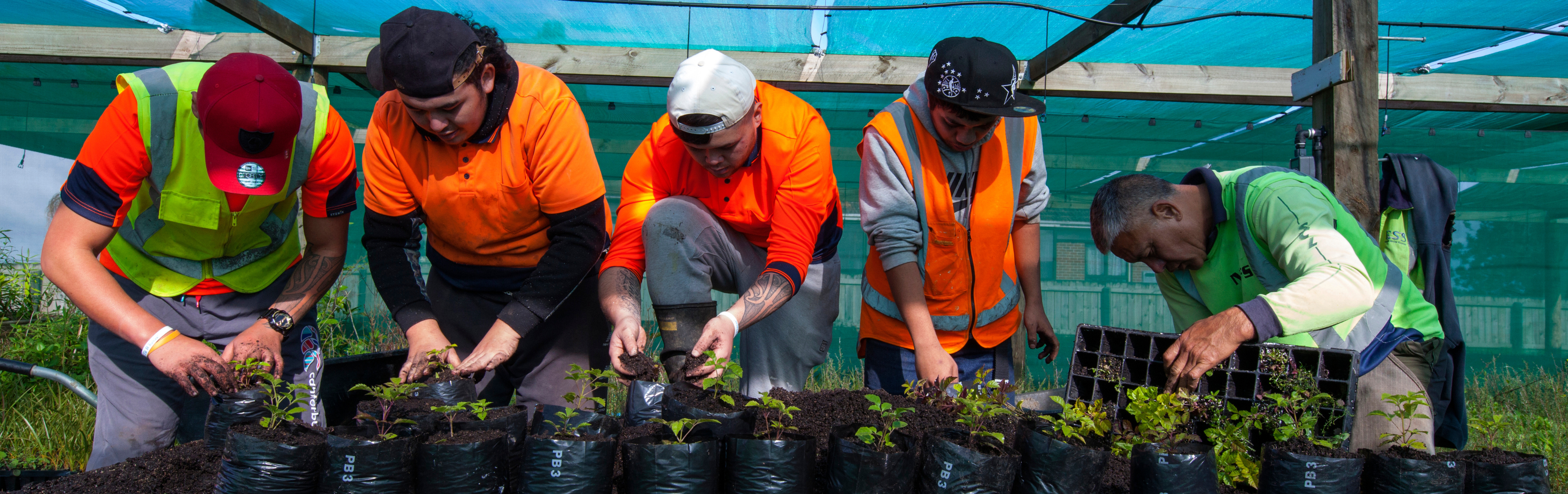 2022 Te Tohu Matua - Supreme Award winners: Te Kotahitanga e Mahi Kaha Trust - Project Ngā Wai Ora o Ngāpuhi