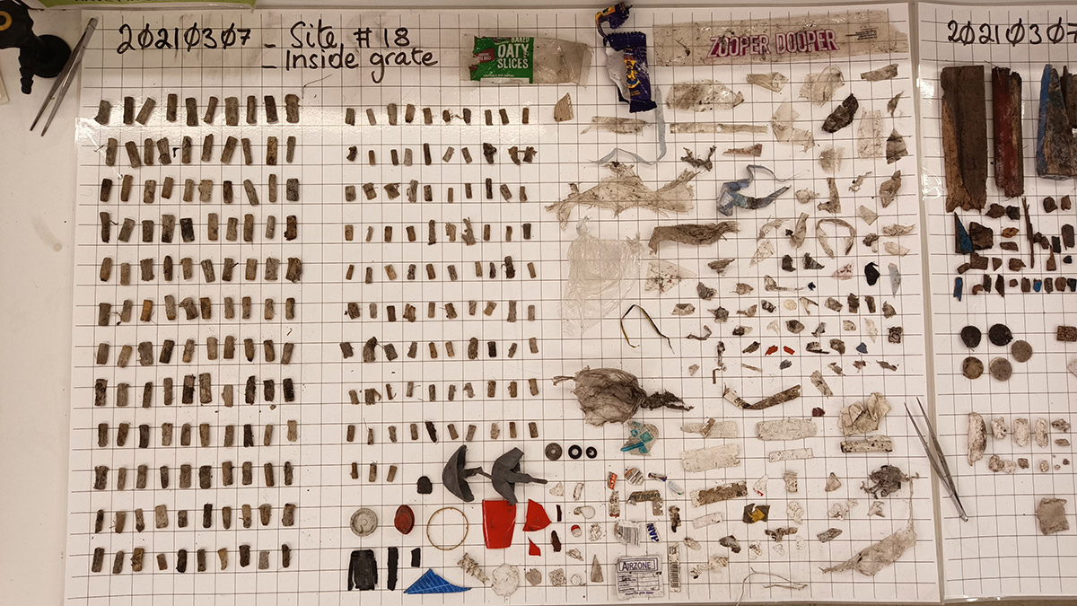 A sheet with pieces of litter.
