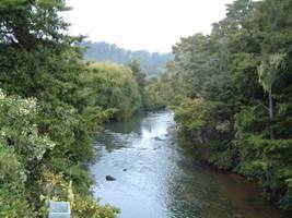 Photo of Punakitere River.