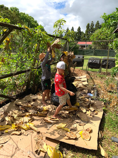 Tamariki spread puka leaves over the cardboard